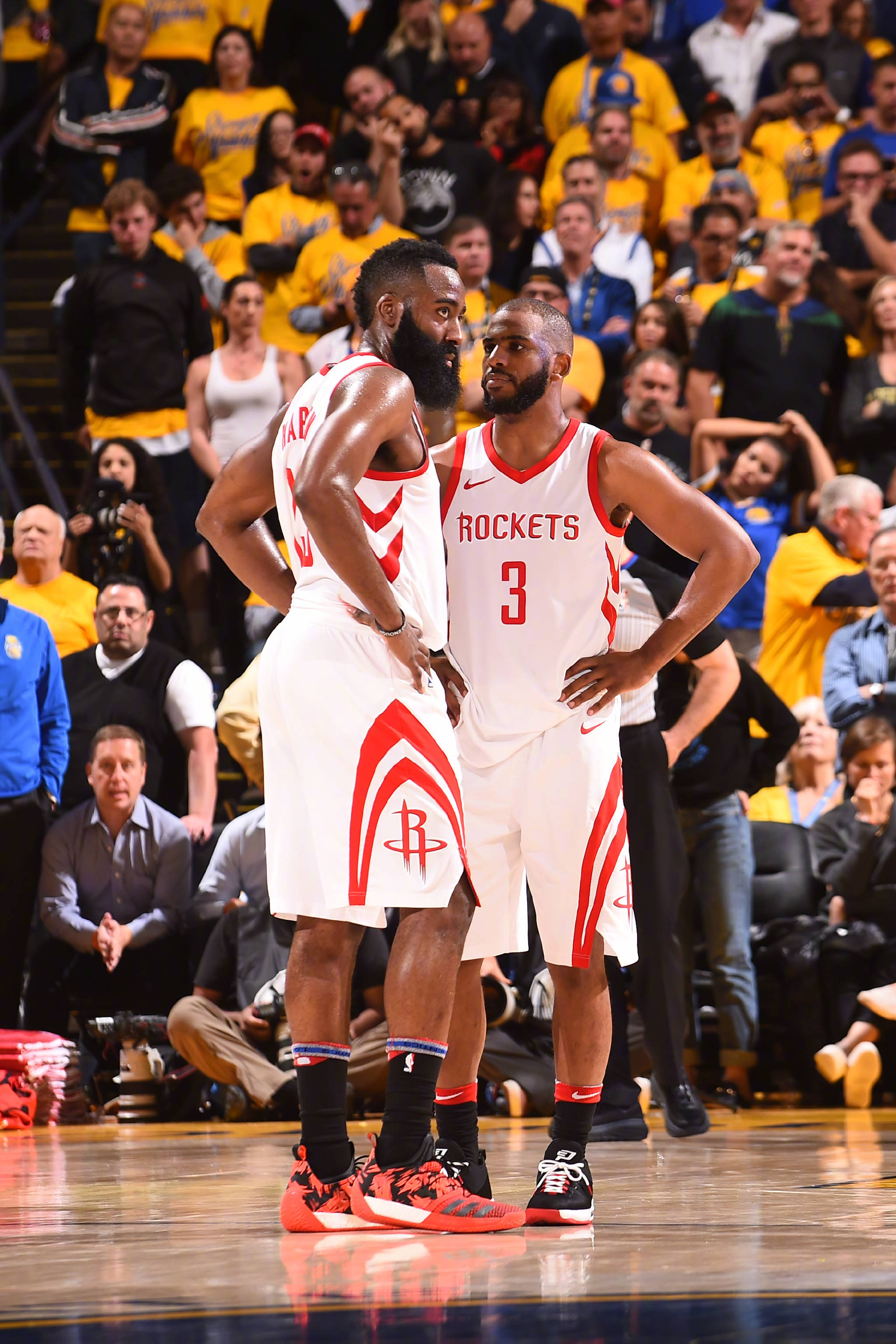 坚韧不拔的 坚韧不拔的